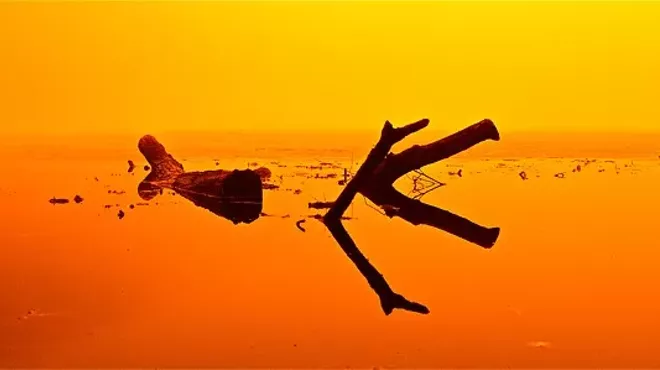 Image: Photography and Sculpture by Jason Adams