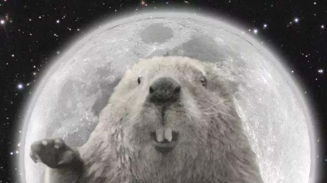 Image: Full Moon Walk