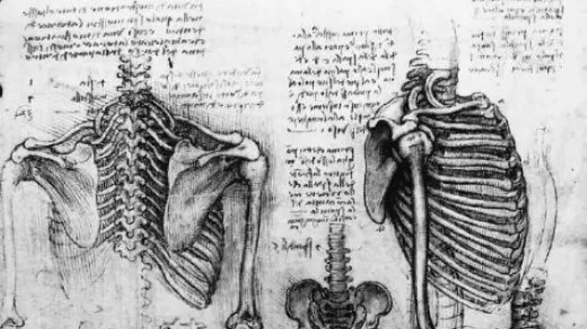 Image: Embodying Bone Yoga Workshop with Kate Hagerman