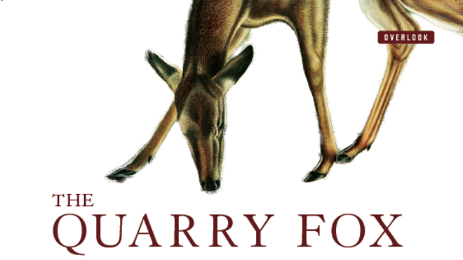 Image: Leslie T. Sharpe: The Quarry Fox