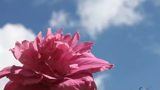 Image: Mindfulness and the Art of Savoring with Stephanie Speer