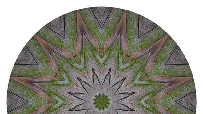 Image: Scott Lerman: Tree Rings