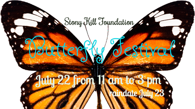 Image: Butterfly Festival