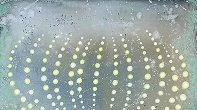 Image: Barbara Takenaga Close Look Tour