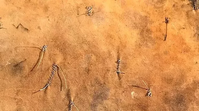 Image: Notes from the Sky and Other Material