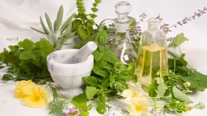 Image: Living Ayurveda: A Summer Retreat with Claudia Gukeisen