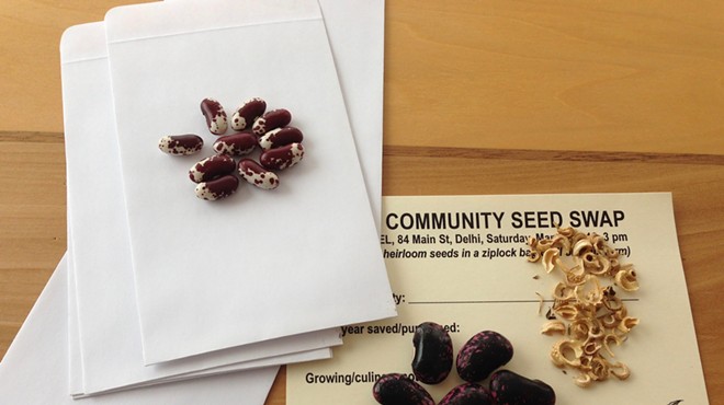 Community Seed Swap
