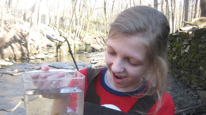 Eel like I do: how to be a citizen scientist