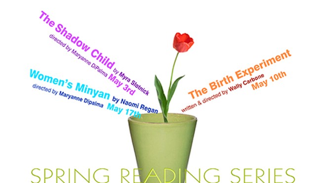 Voice Theatre 5th Annual Spring Reading Series