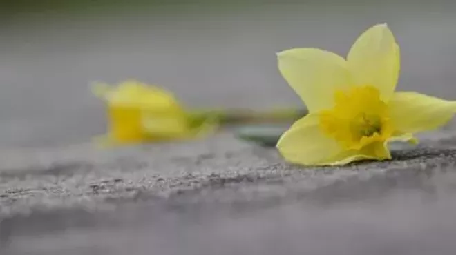 Image: Yoga in the Park