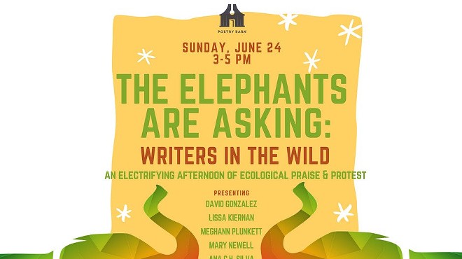 The Elephants are Asking: Writers in the Wild