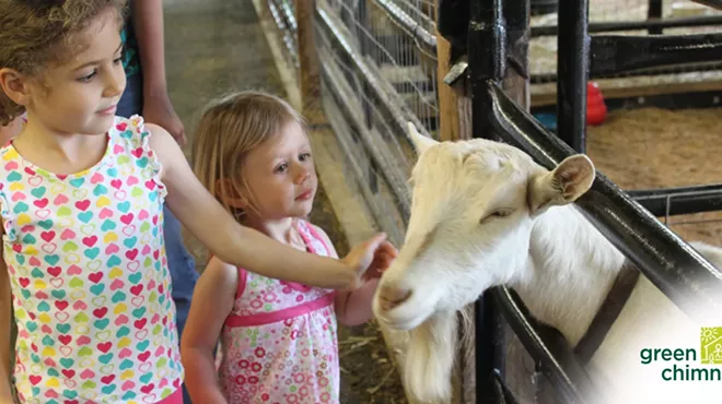 Image: Little Folk Farm Day