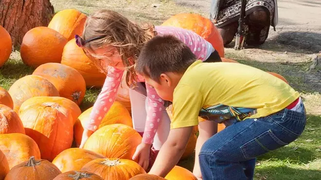 Image: The Beacon Sloop Club Annual Pumpkin Festival