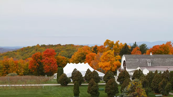 Image: Millbrook Winery Harvest Party