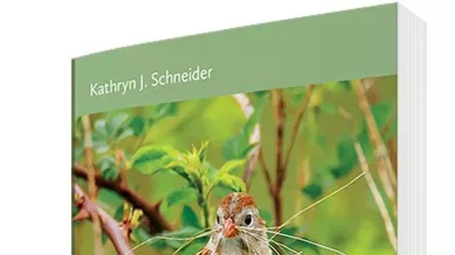 Image: Kathryn Schneider and Birding the Hudson Valley