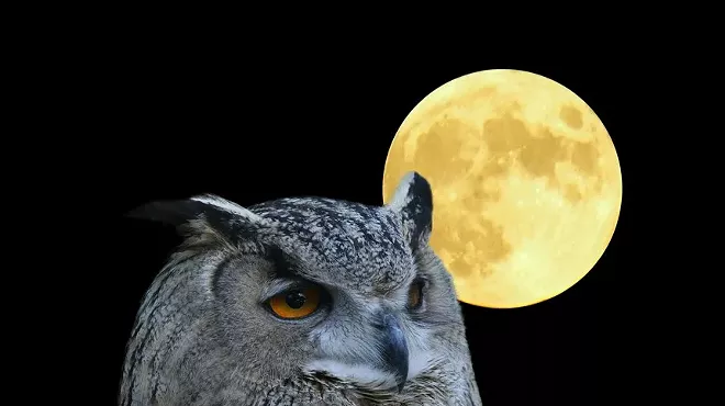 Image: Full Moon Hike