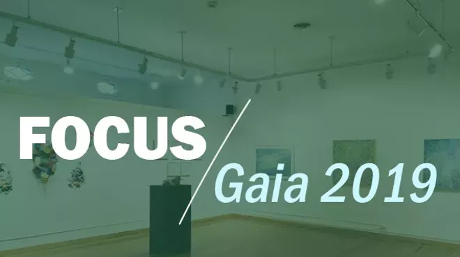 Image: Gallery Talk: Focus Gaia 2019 with Juror Amy Cheng