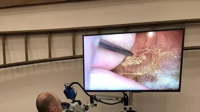 Image: Heirloom Seed Engraving Demonstration