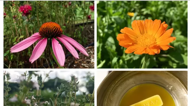 Image: Herbal Workshop Series: Herbs for Children