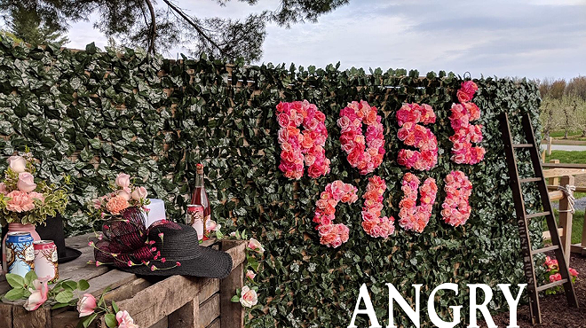 Image: Angry Orchard Derby Rose Lounge