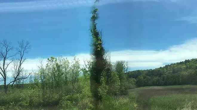 Image: Artists on Olana: Casey Robertson