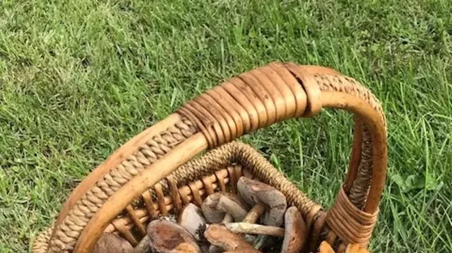 Image: Fall Forage Mushroom Walk