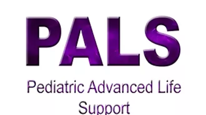 Image: American Heart Association PALS Renewal