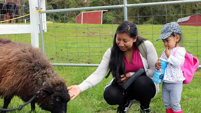 Image: Little Folk Farm Day