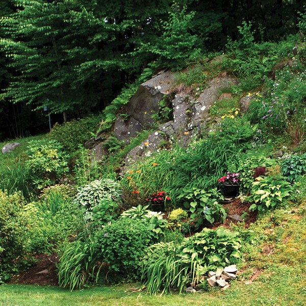 Lessons from The Hills: Gardening on Rocky and Steep Slopes