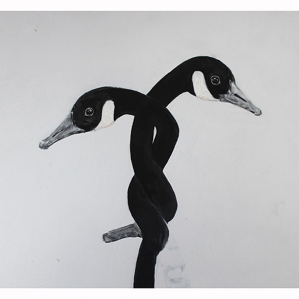 Steven Strauss's Geese Paintings