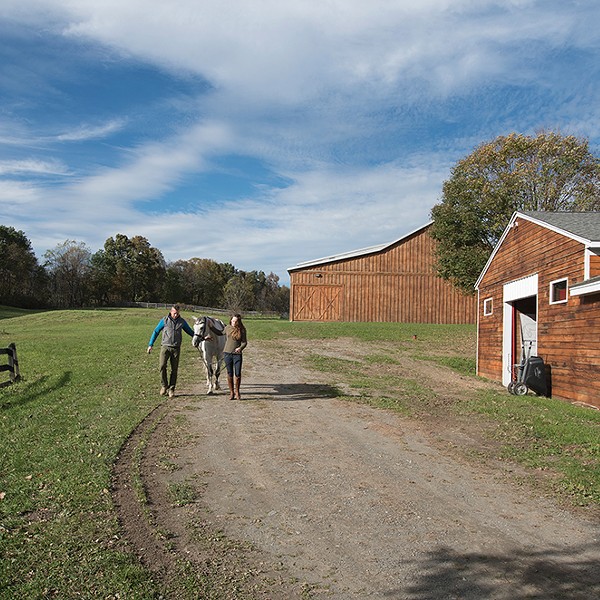 Horse Heaven: An 18th-Century Farmhouse and Equestrian Center in Clinton Corners