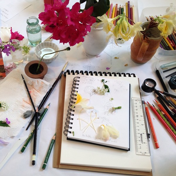 Botanical Drawing Workshop with Wendy Hollender