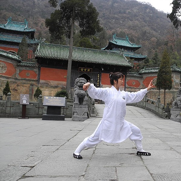 Introduction to Tai Chi Series