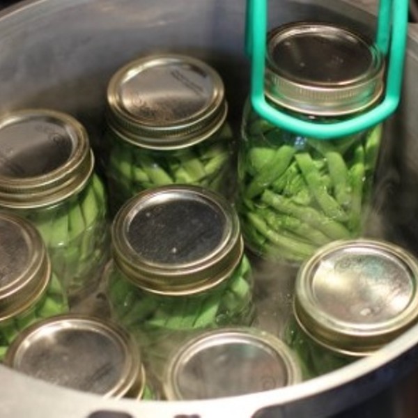 Beans in pressure canner