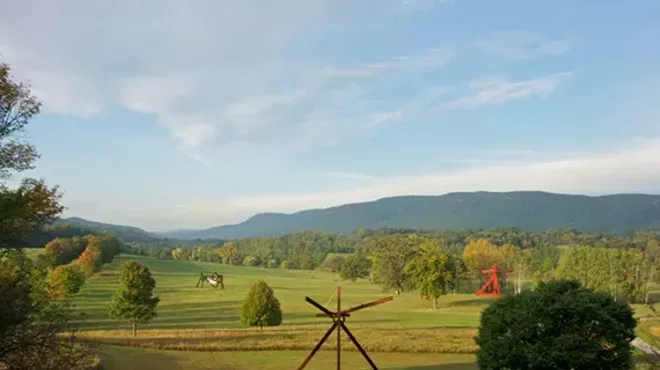Image: Walk: Birds of Storm King Art Center