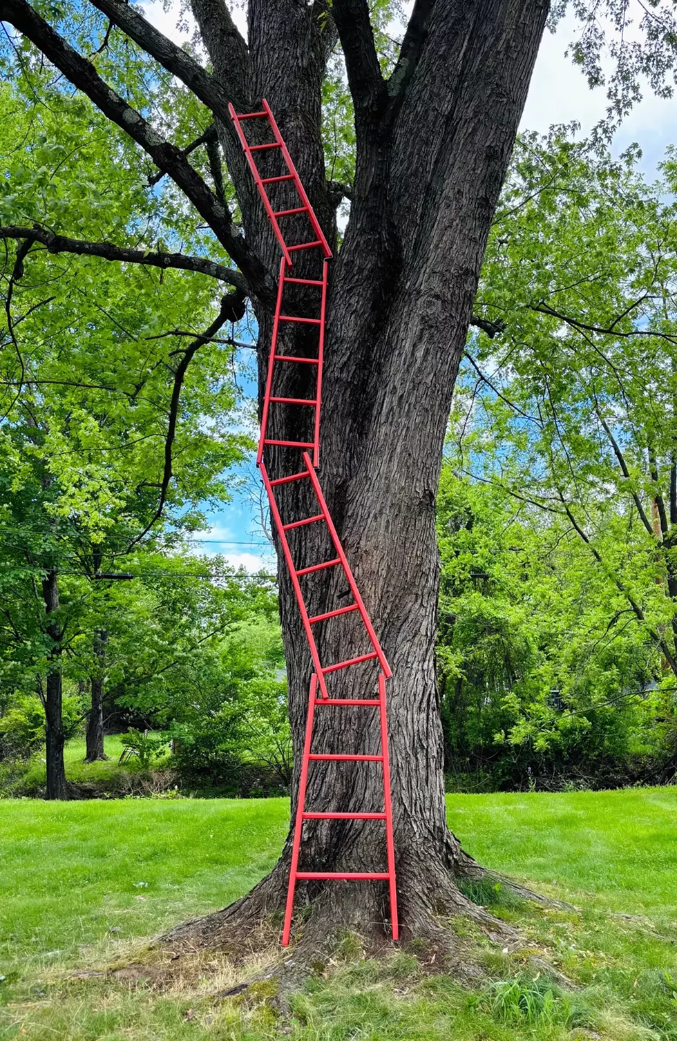 Eileen M. Power, The Crooked Path, 2022, variable, painted wood, metal.