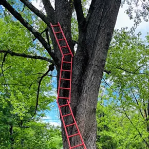 Image: 2026 Inaugural Outdoor Sculpture Park Exhibition