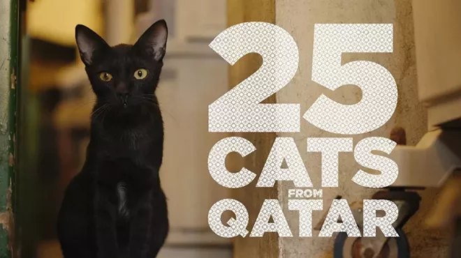Image: 25 Cats from Qatar
