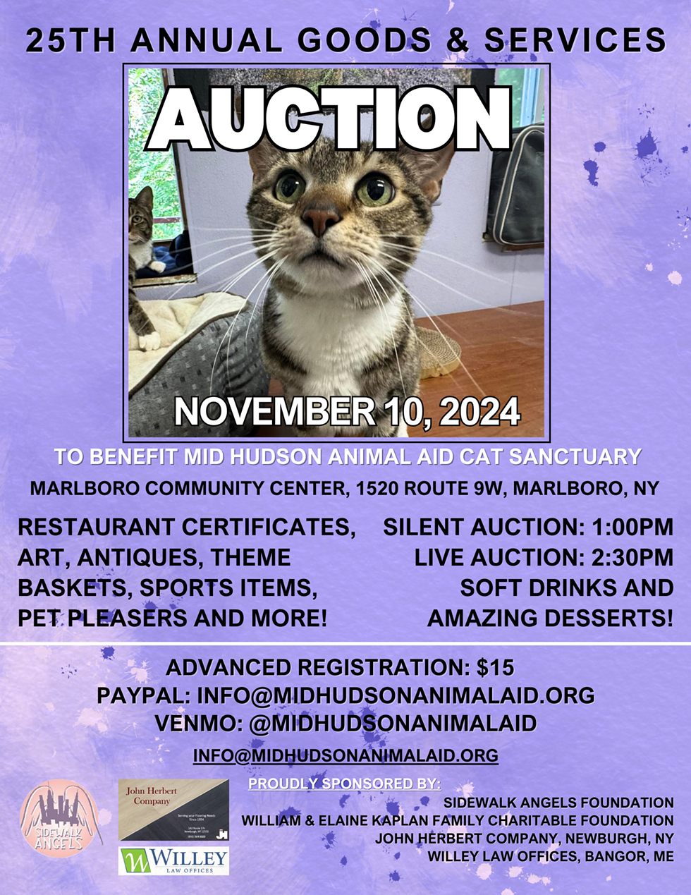 MHAA Auction