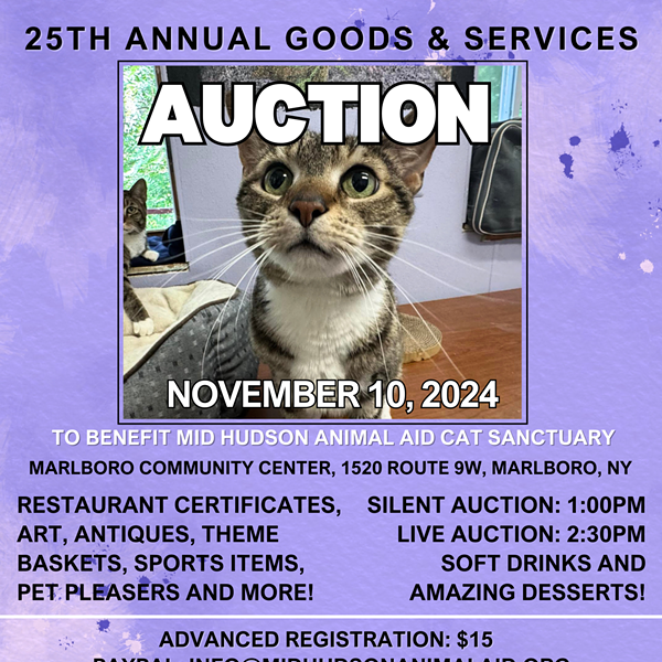 25th Annual Goods and Services Auction to benefit Mid Hudson Animal Aid