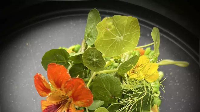Image: 5 Star Vegan Gourmet Class & Dinner with Wendy Grossman