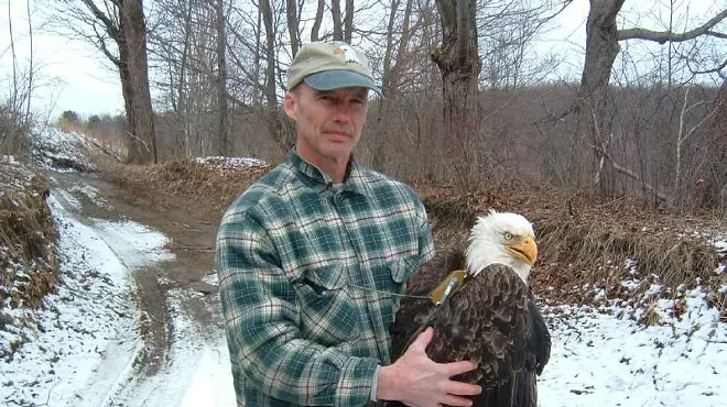 Image: A Bald Eagle Walk & Talk with Pete Nye