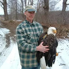 Image: A Bald Eagle Walk & Talk with Pete Nye