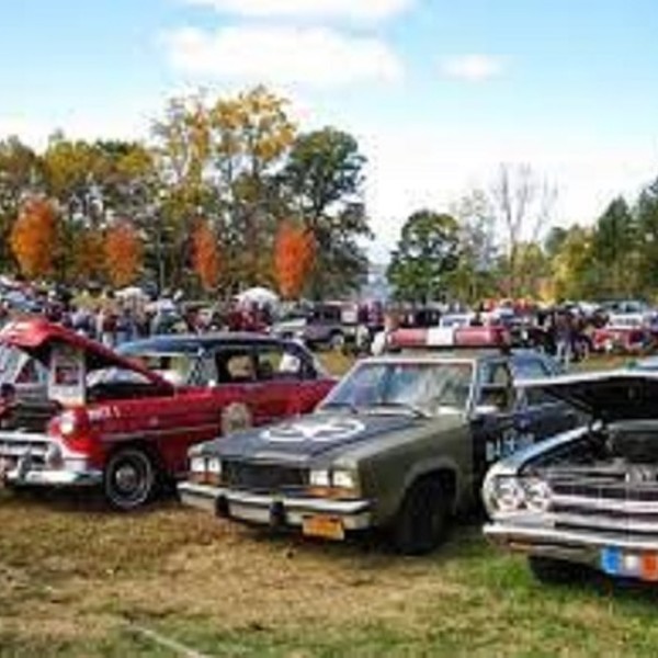 A Gathering of Old Cars