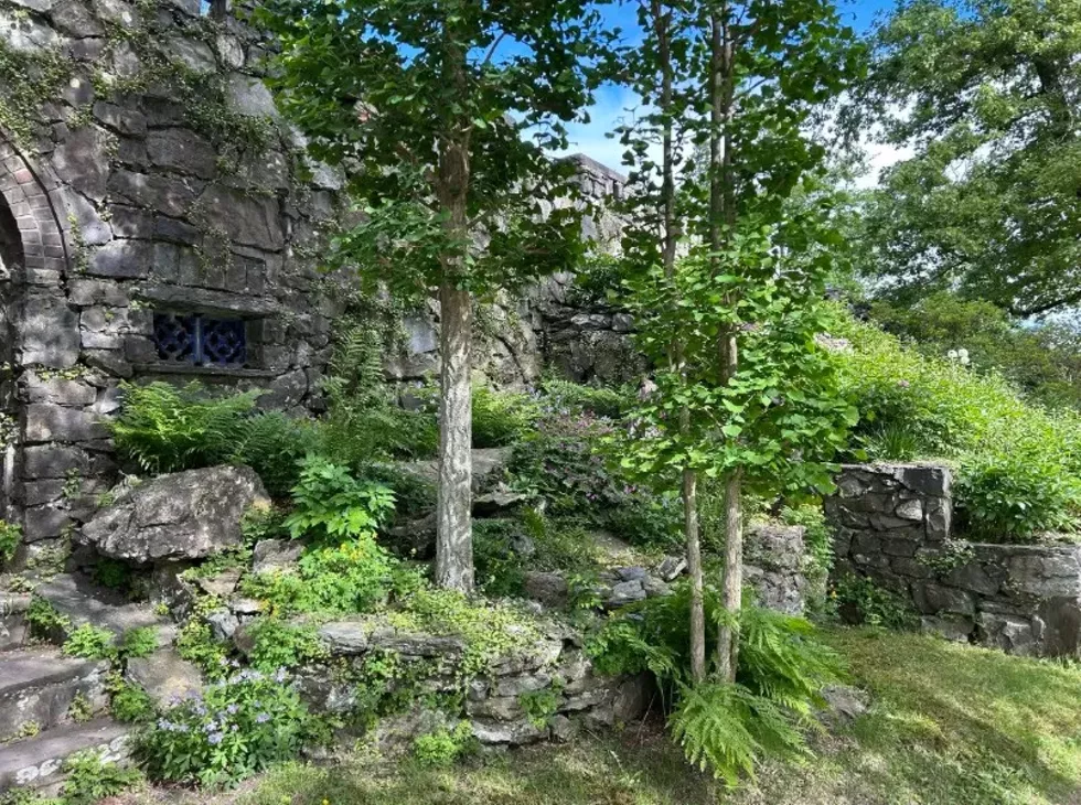 A Late Spring Naturalist Walk at Innisfree with Loren Merrill