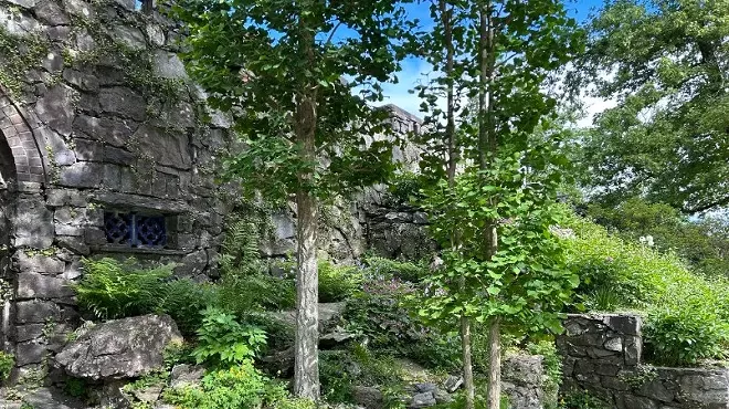 Image: A Late Spring Naturalist Walk with Loren Merrill