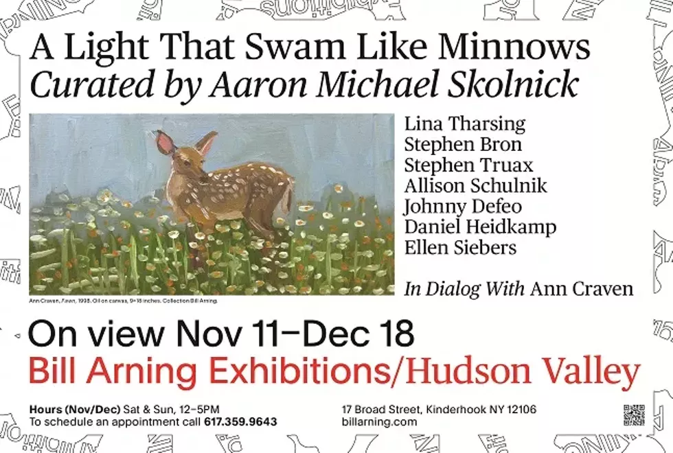 A Light That Swam Like Minnows