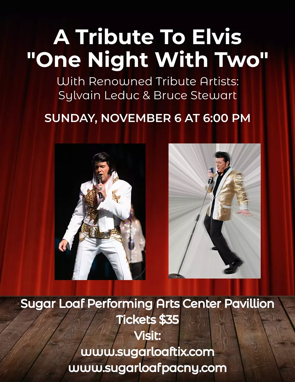 elvis_one_night_ii.webp