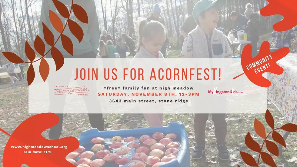 Free Family Fun at High Meadow!
