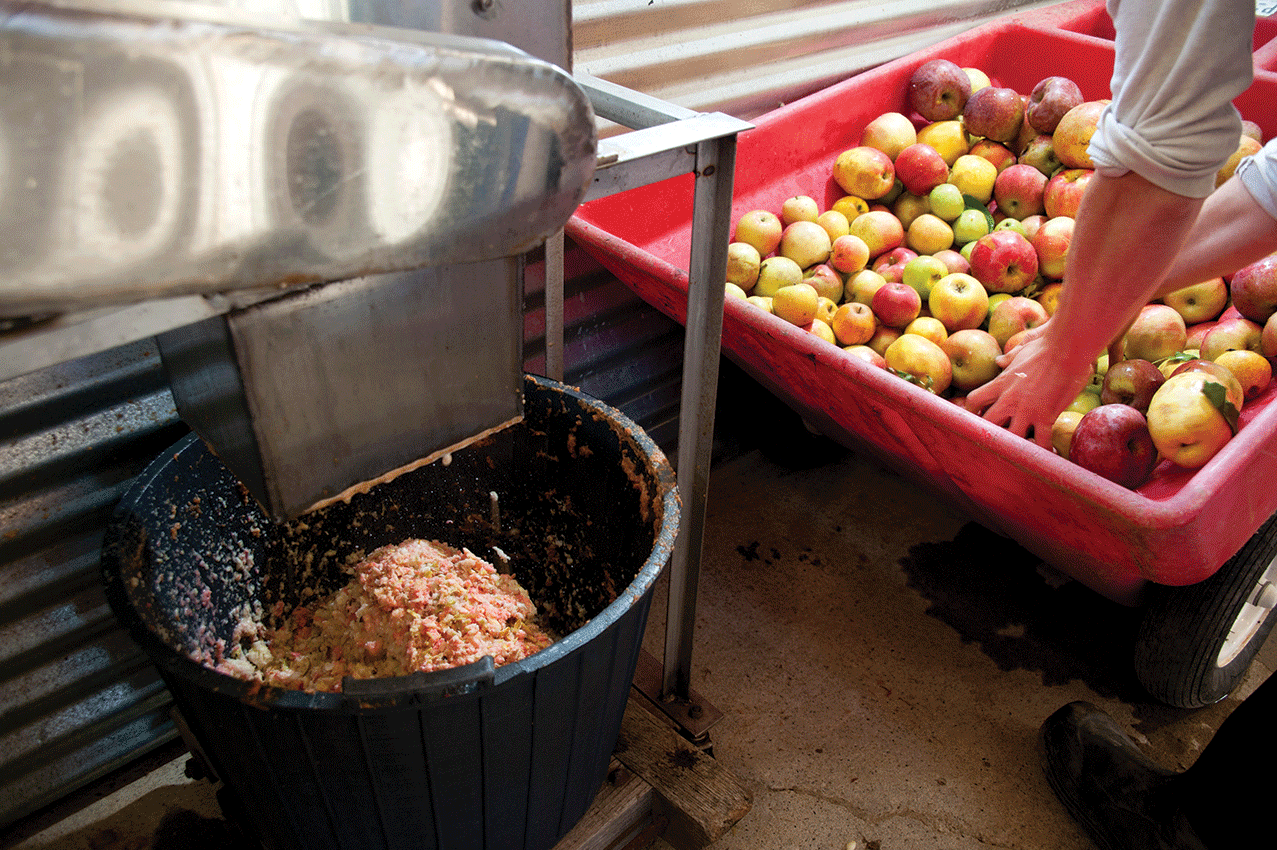 A Cider Renaissance in the Hudson Valley